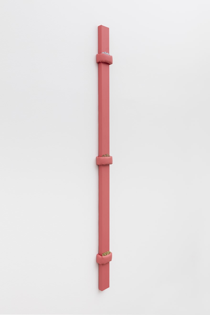 Dianna Molzan, Untitled, 2015