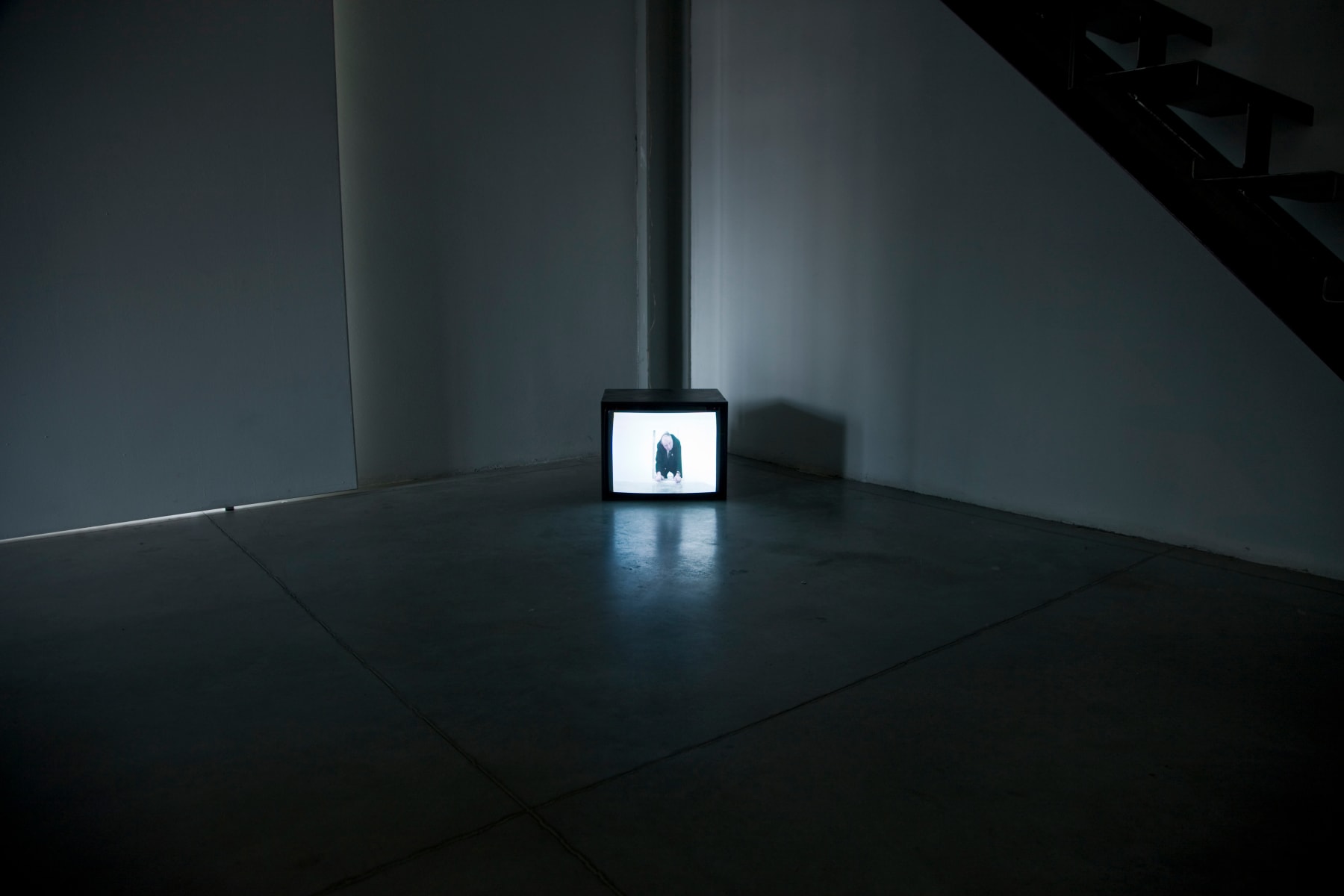 Yoshua Okón, Hausmeister, 2008