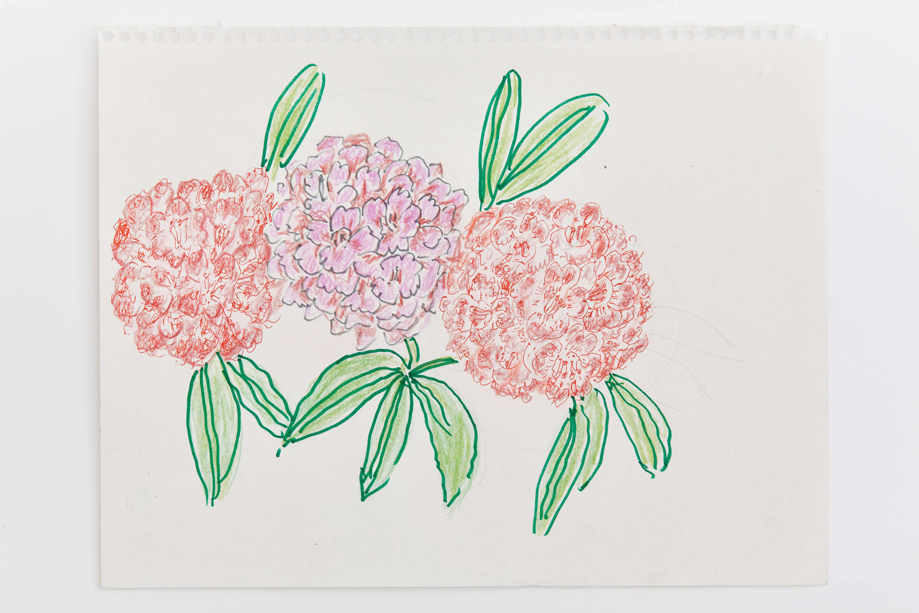 Magdalena Suarez Frimkess, Untitled, 2021
