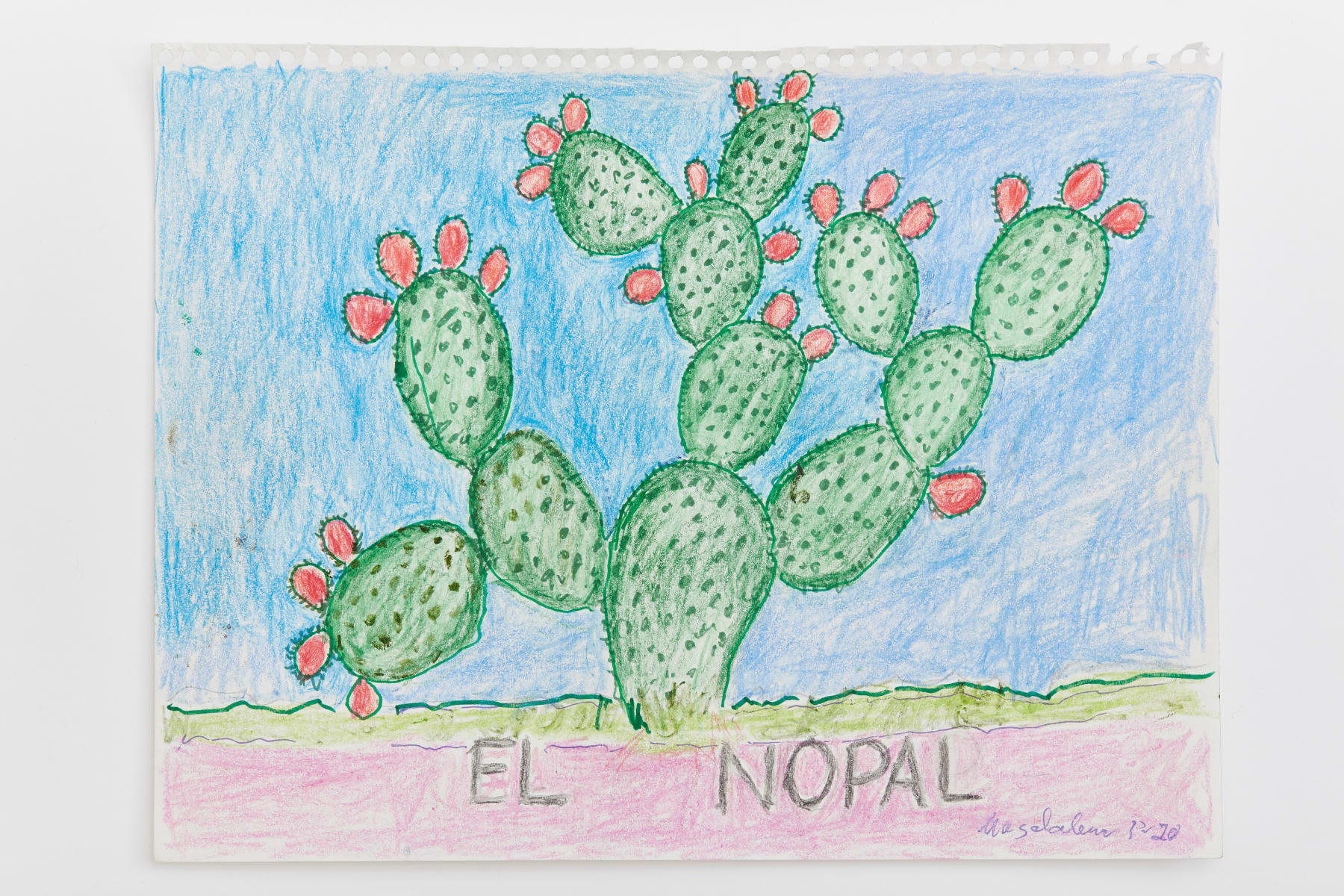 Magdalena Suarez Frimkess, Untitled, 2021