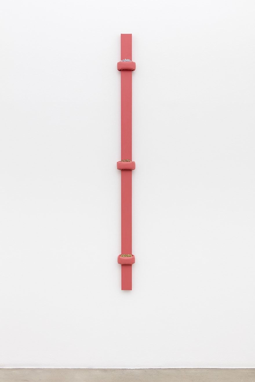 Dianna Molzan, Untitled, 2015