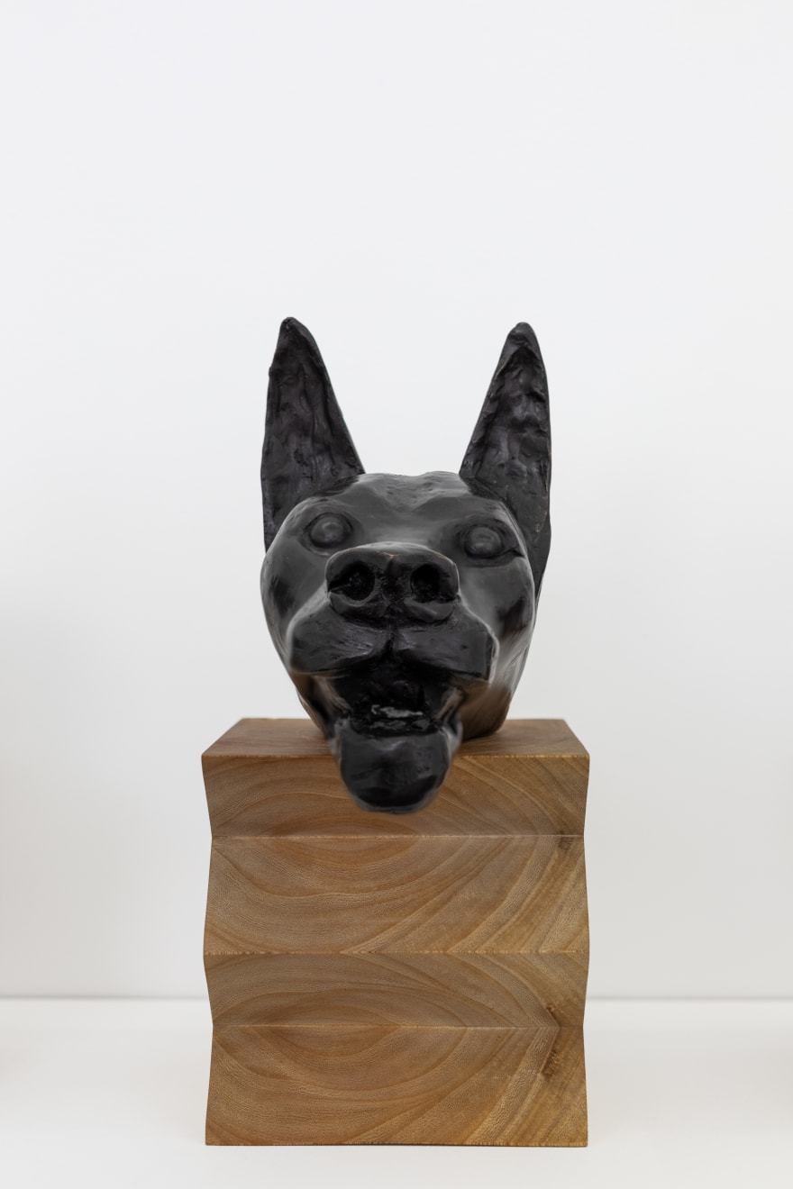 Miguel Cardenas, Jackal, 2022