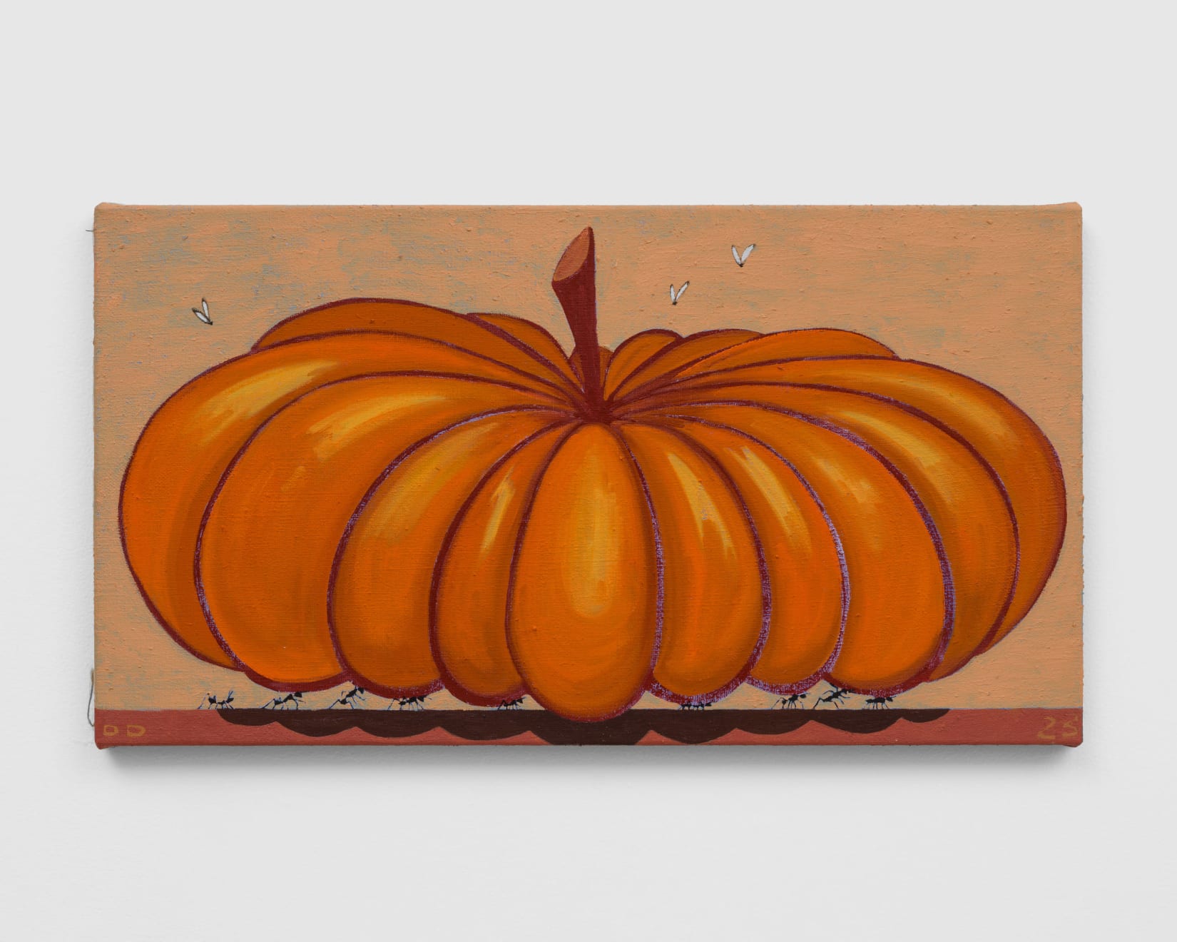 Ants carry Pumpkin, 2023