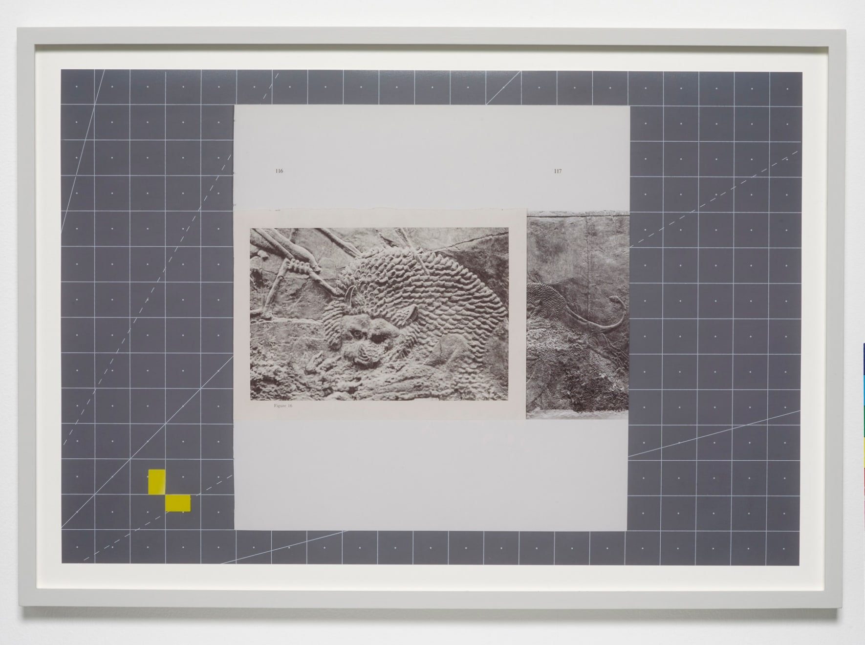 Charlie Prodger, Crush Index, 2019