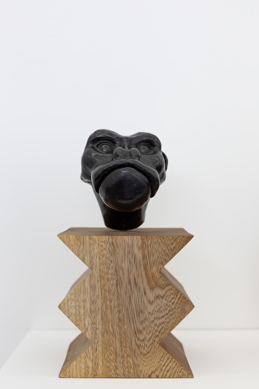 Miguel Cardenas, Ukari Monkey, 2022