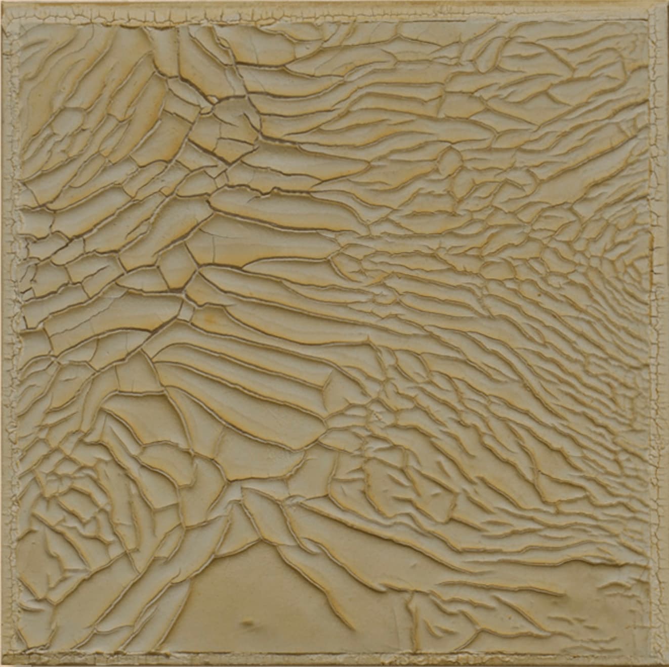 Mark Garry, 15K To Naples, 2024