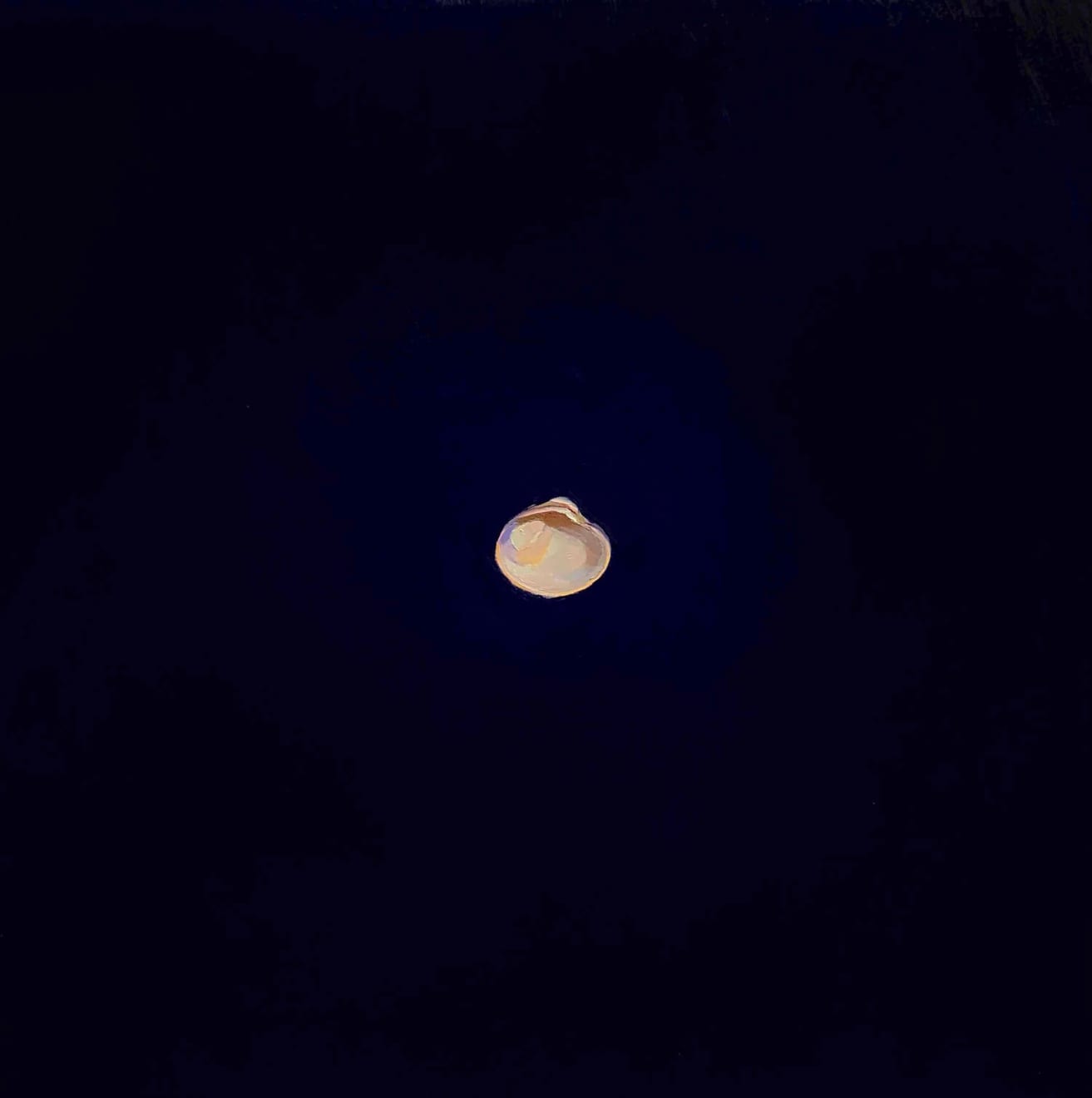 Shane McClatchey, Order, 2022