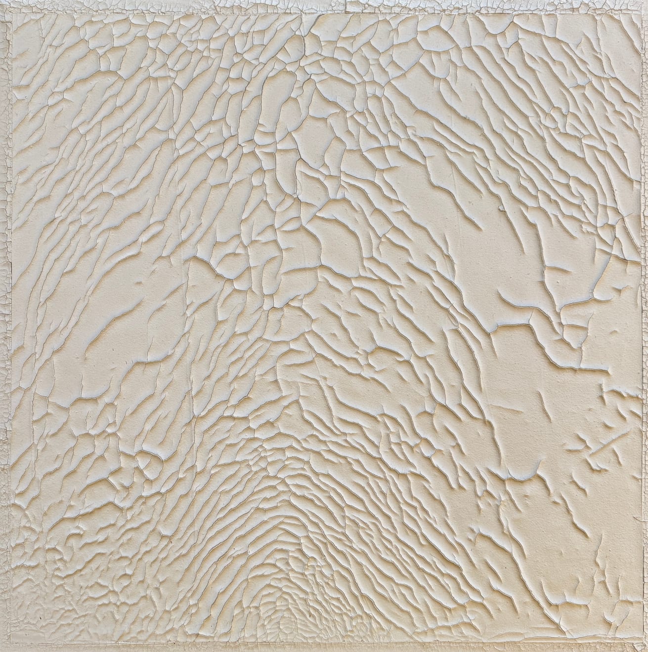 Mark Garry, Throwing Shadows, 2024