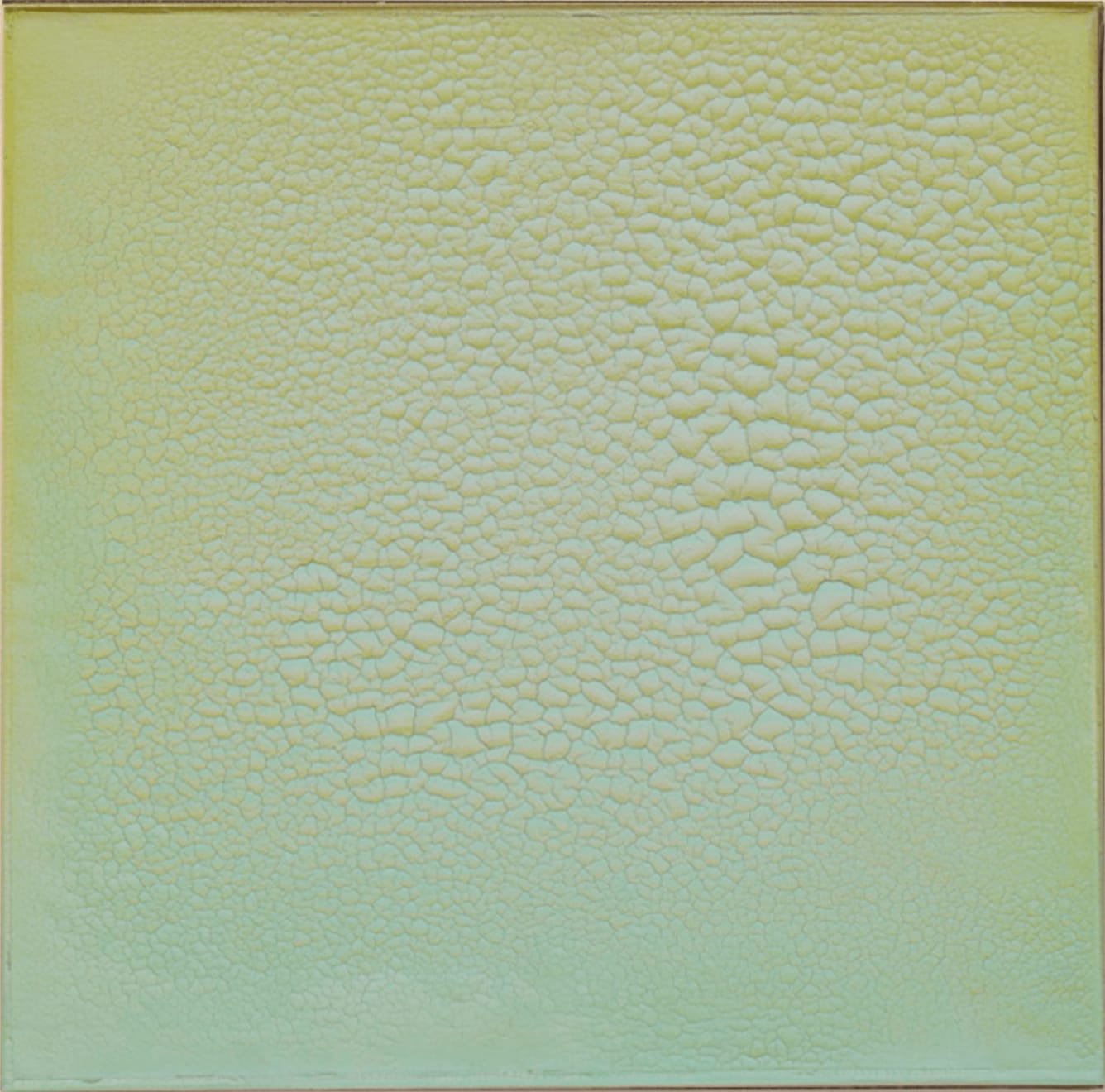 Mark Garry, Wake Up Green, 2024