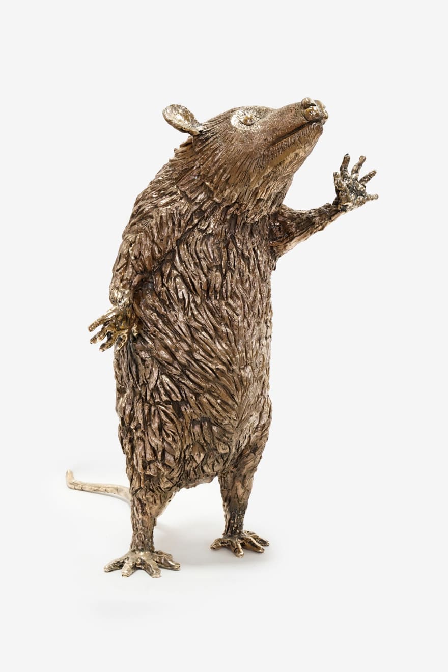 Lorenzo Lorenzetti, Opossum with Open Hand