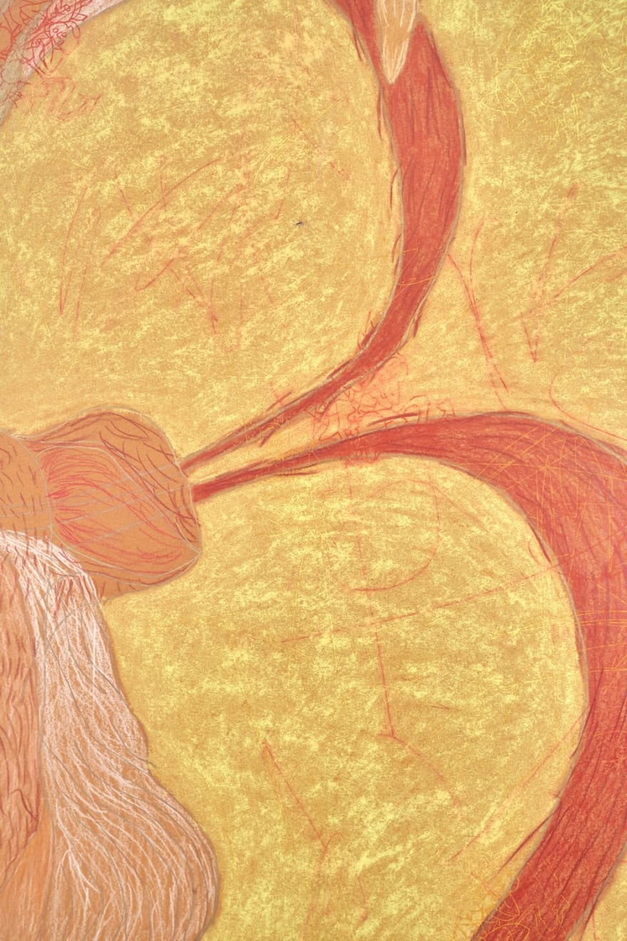 Abel Guzmán, ¡chinga tu padre!, 2022