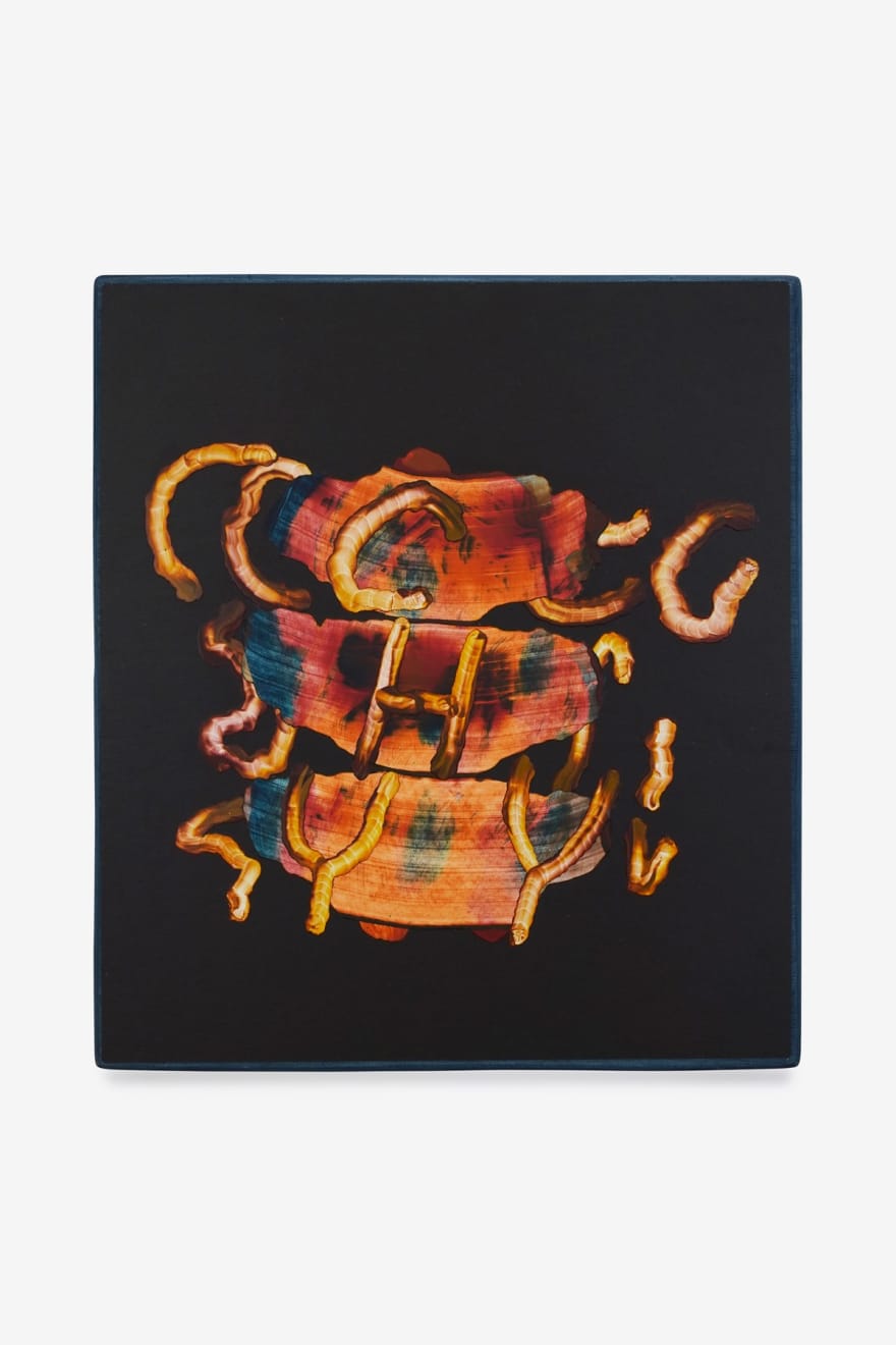 Chyrum Lambert, This Form Of Life Is A Form Of Language, 2024