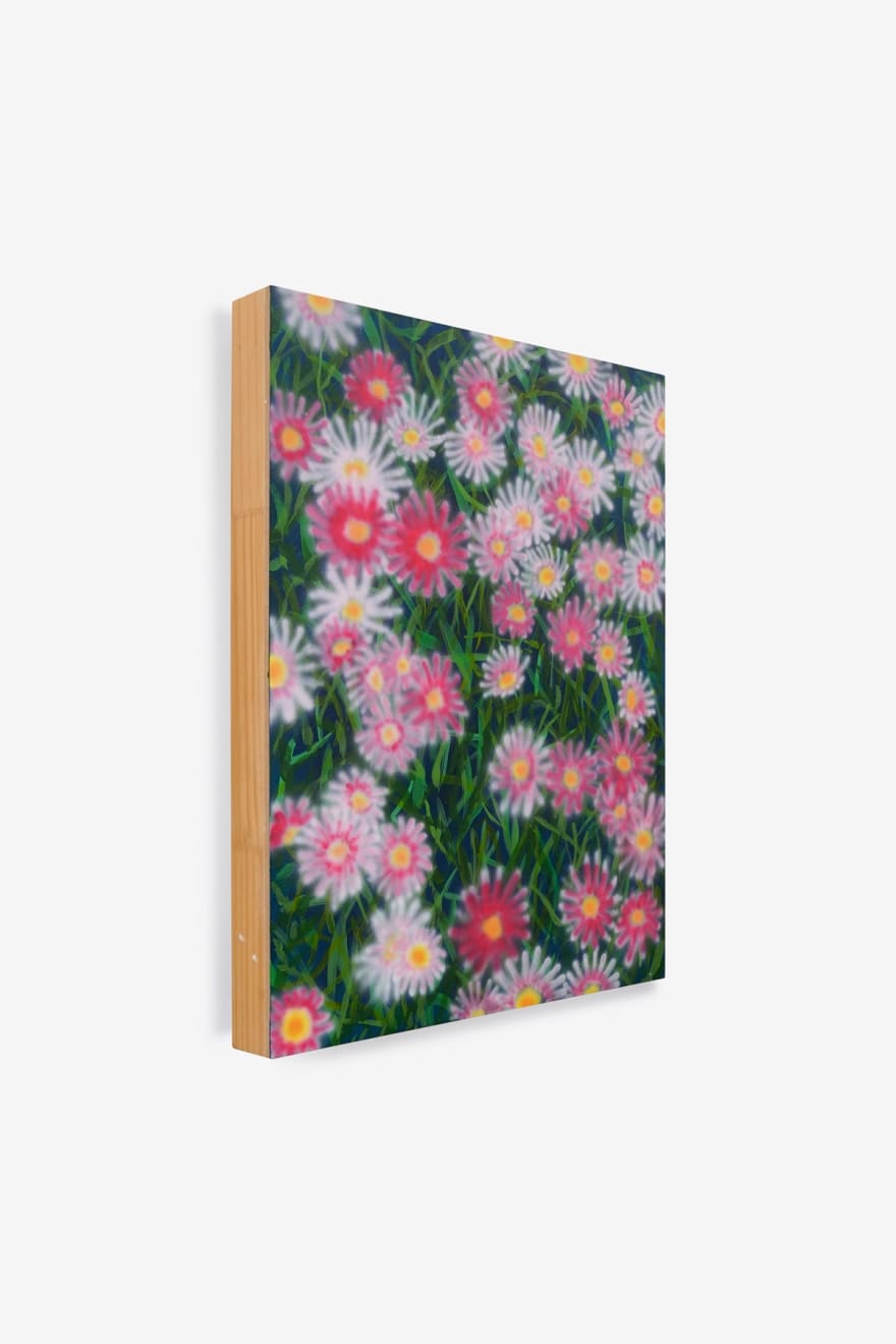 Alyss Estay, No Clear thoughts, 2019