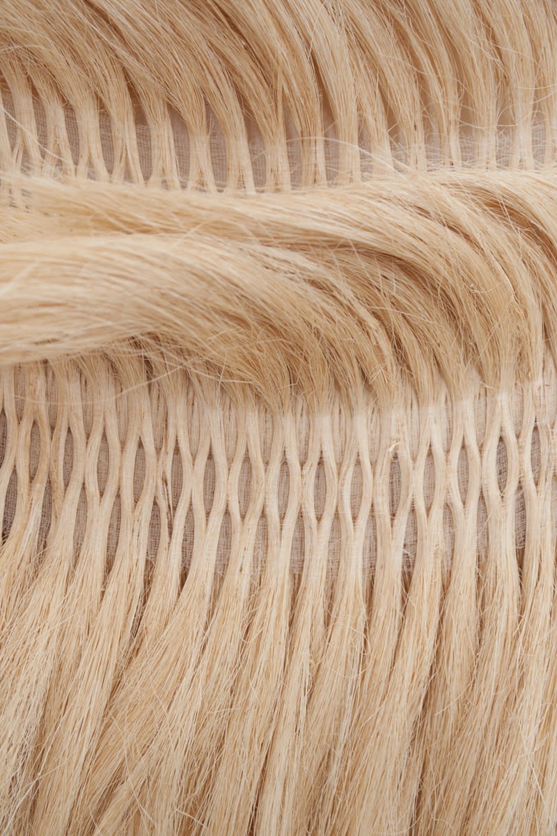 Molly Haynes, Whorl, 2023