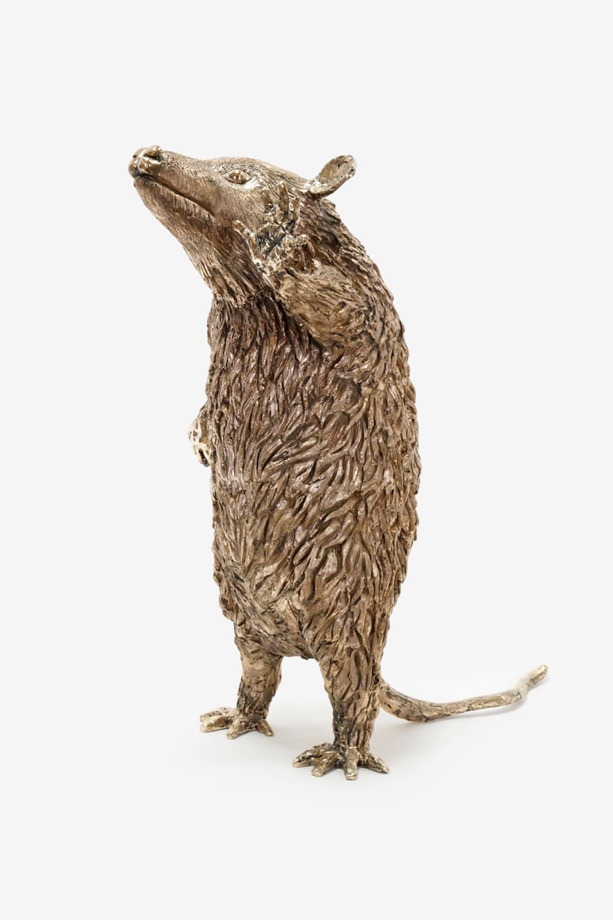 Lorenzo Lorenzett,i Opossum with Open Hand