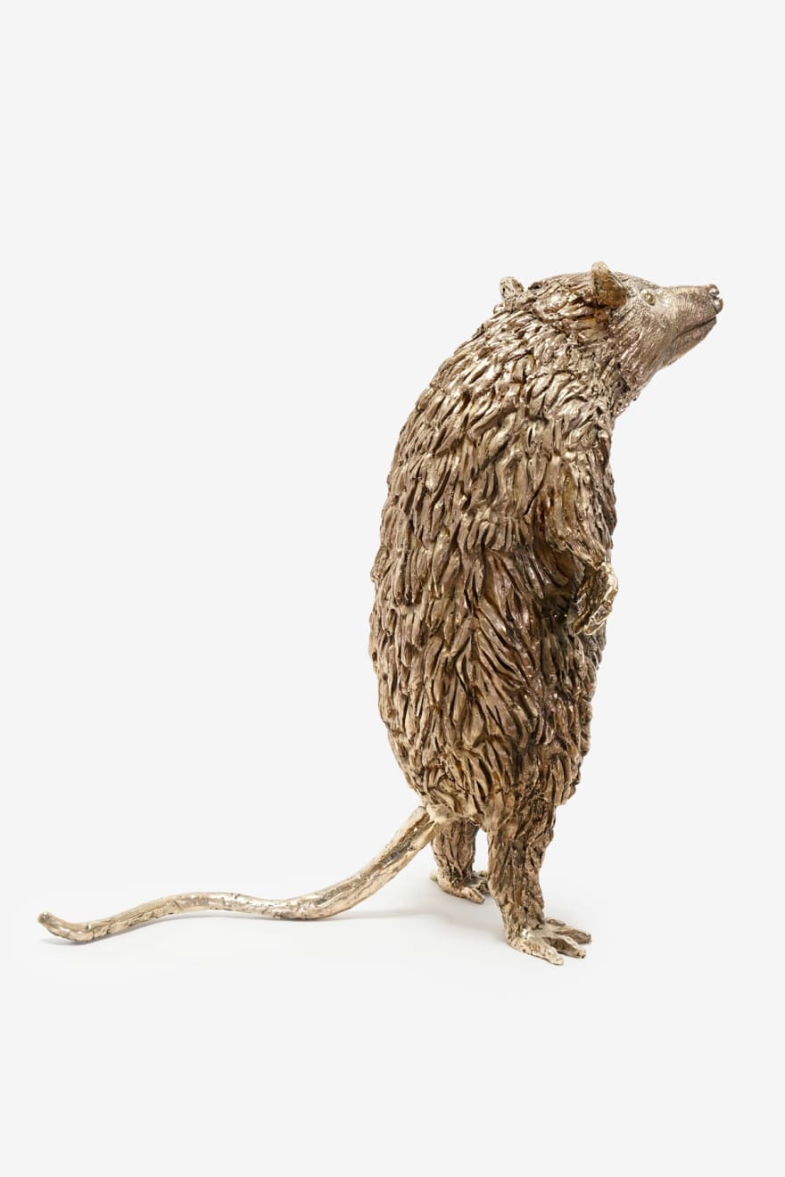 Lorenzo Lorenzetti, Opossum with Open Hand