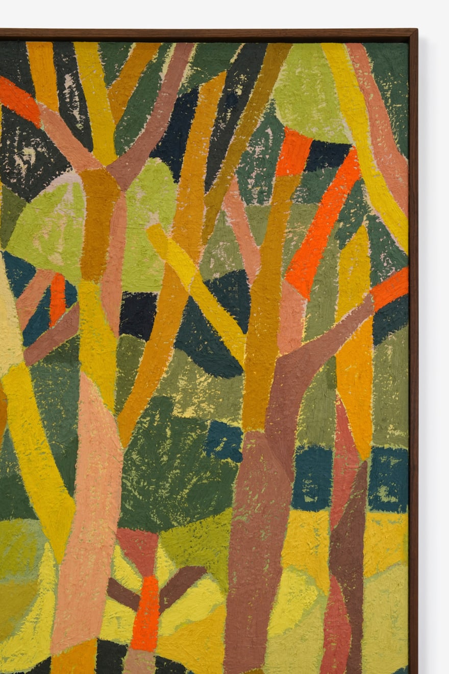 Abel Macias, Coastal Canopy, 2024