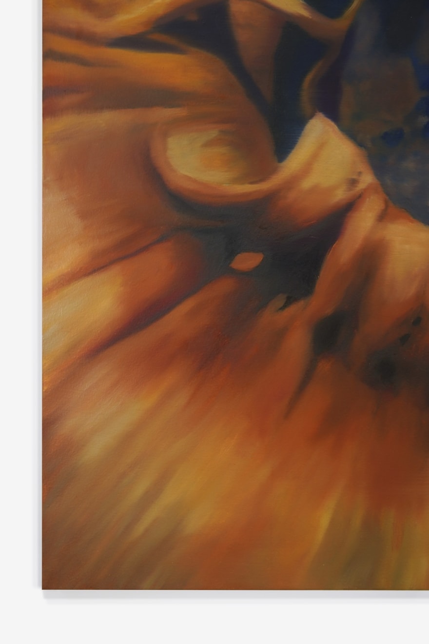 Gillian Haigh, Stubborn Bloom, 2024