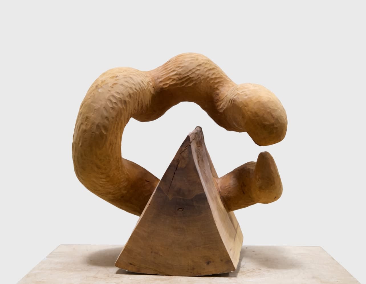 Lorenzo Lorenzetti, Wood Worm, 2023