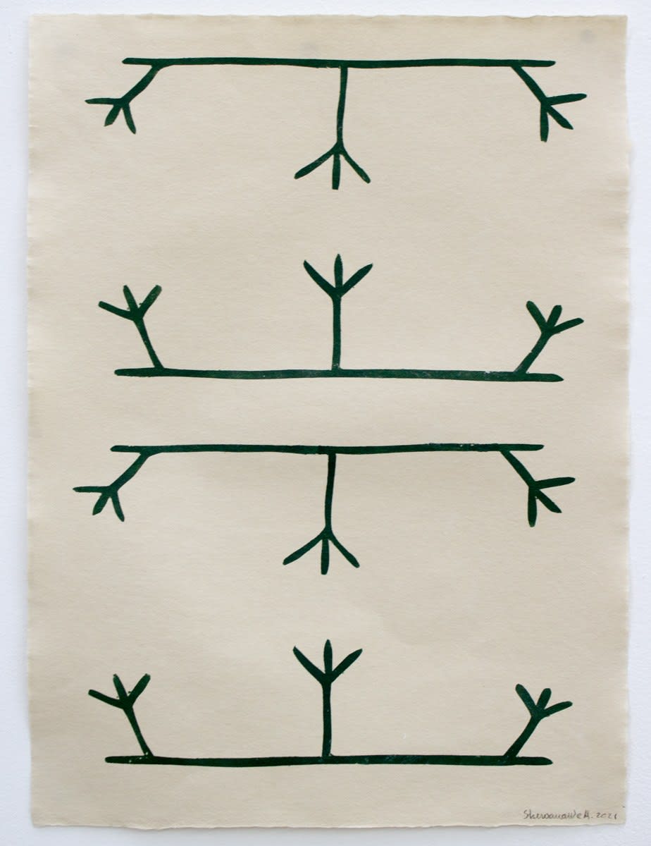 Sheroanawe Hakihiiwe, His Hipe Raharaka (Little Tree Branches), 2021