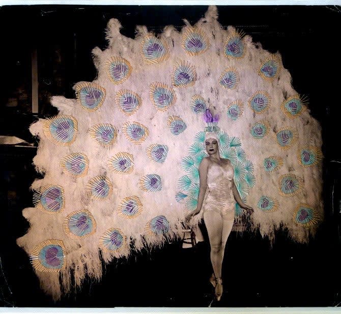 Jose Romussi, BALLERINA PEACOCK, 2013