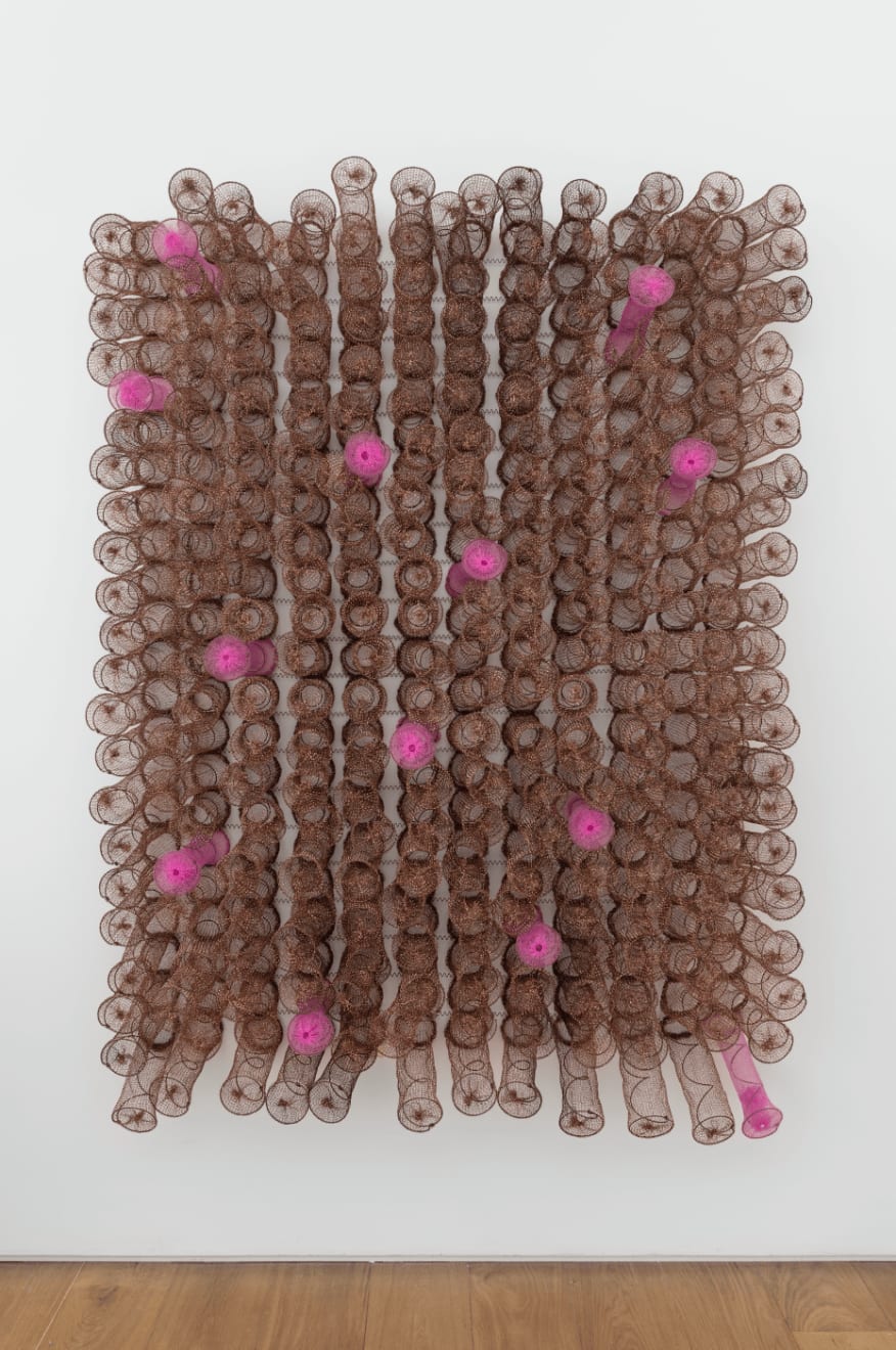 Bronwyn Katz, |garu |’amiros, 2022