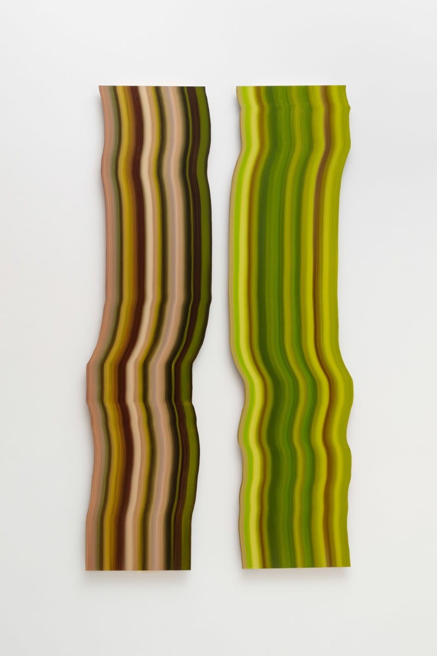 James Hillman, Growth Ring (2), 2021