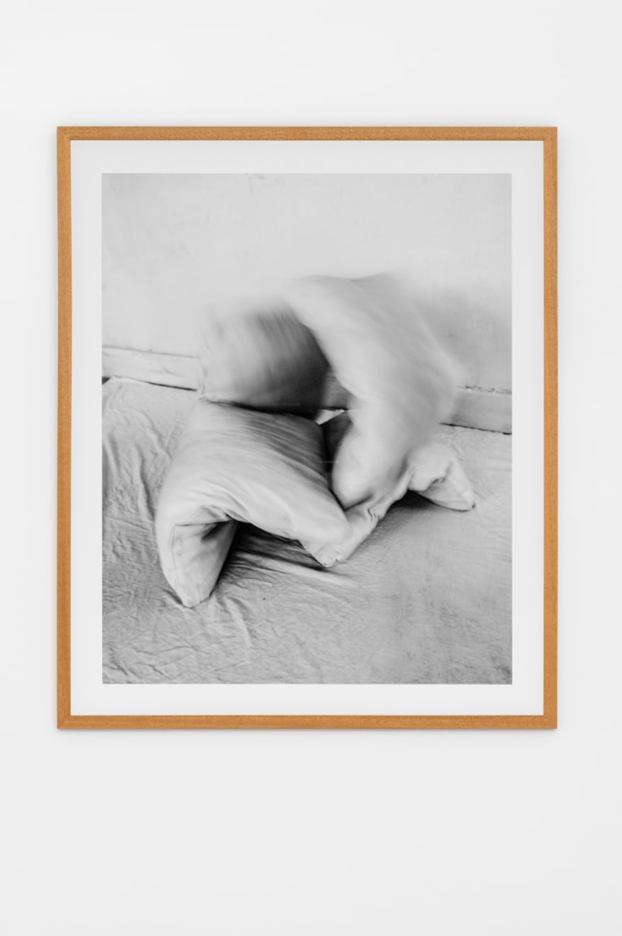 Tenzing Dakpa, Pillow 02 (The Hotel), 2018