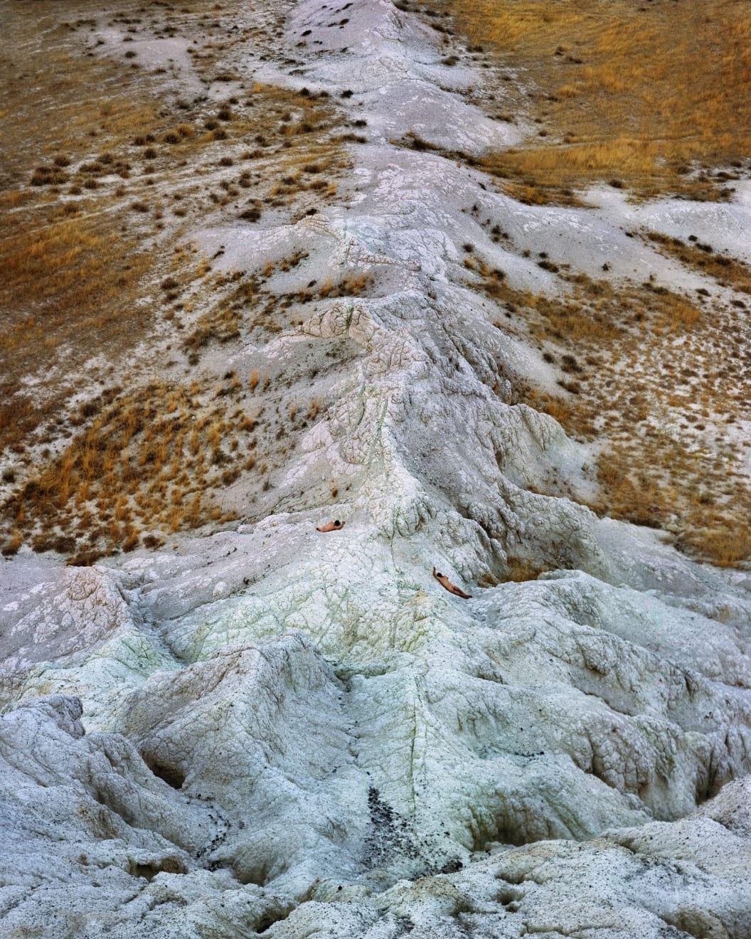 Ruben Brulat, PATIENCES, 2013