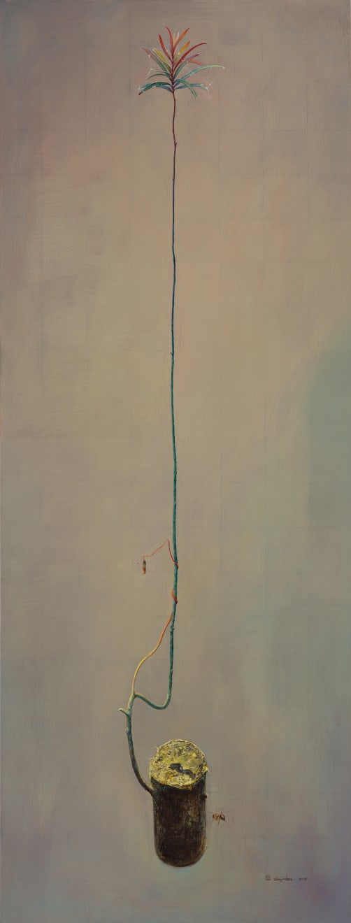 曲线, 2019