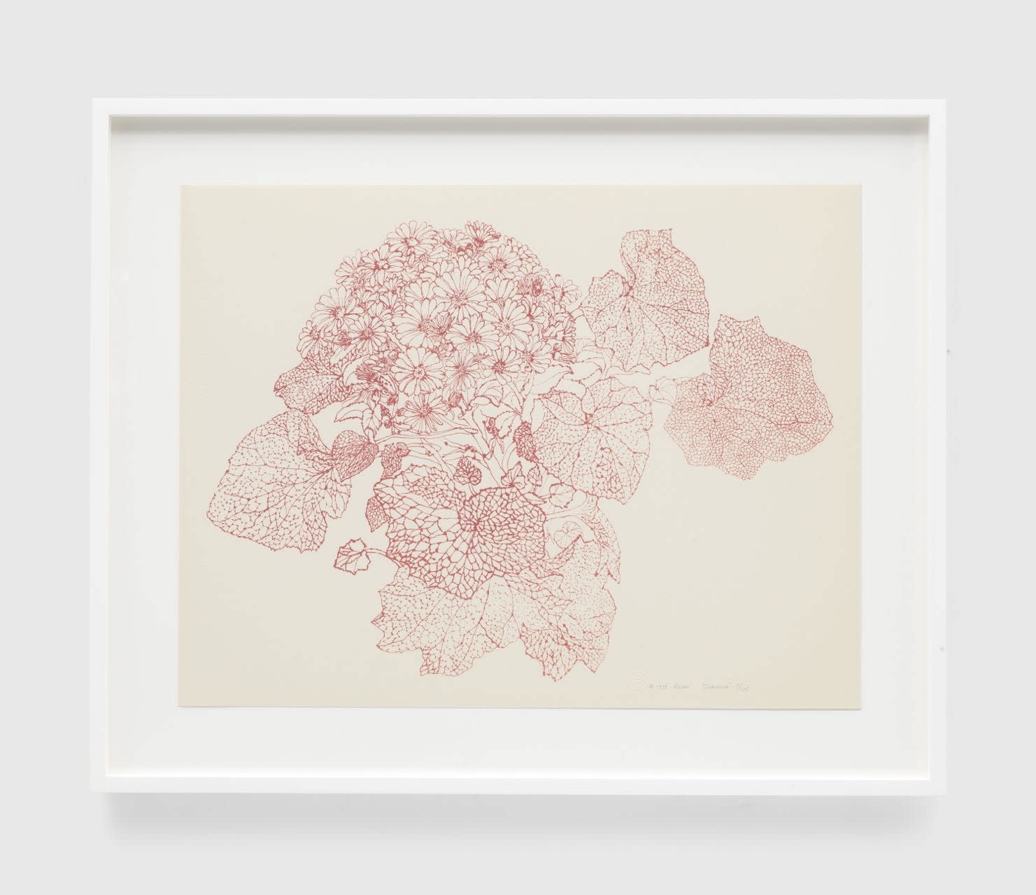 Ruth Asawa, Cineraria (P.018-III), 1979