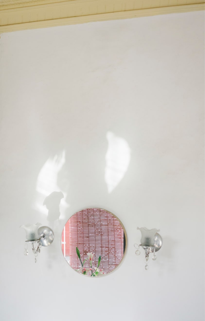 Peishan Huang, Artificial Nature #2, 2020