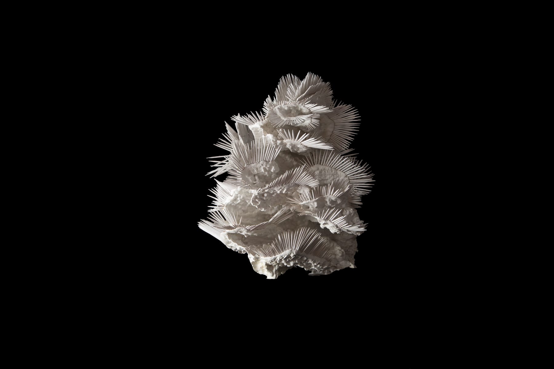 Lauren Baker, 24 Million Year's Ago (1), 2015