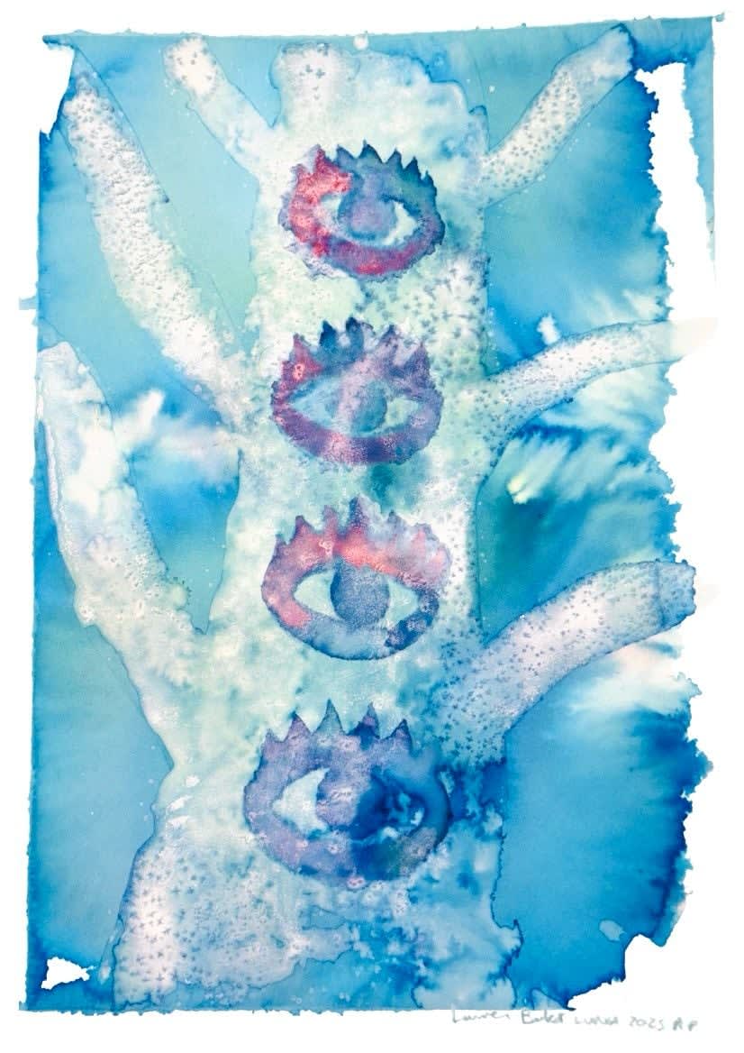 Lauren Baker, Studies of Consciousness 8, 2025