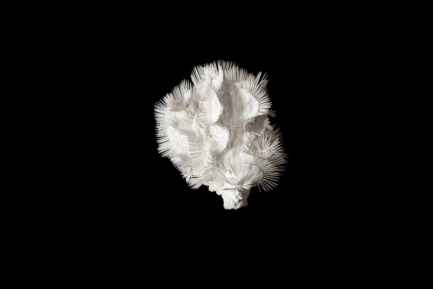 Lauren Baker, 24 Million Year's Ago (2), 2015