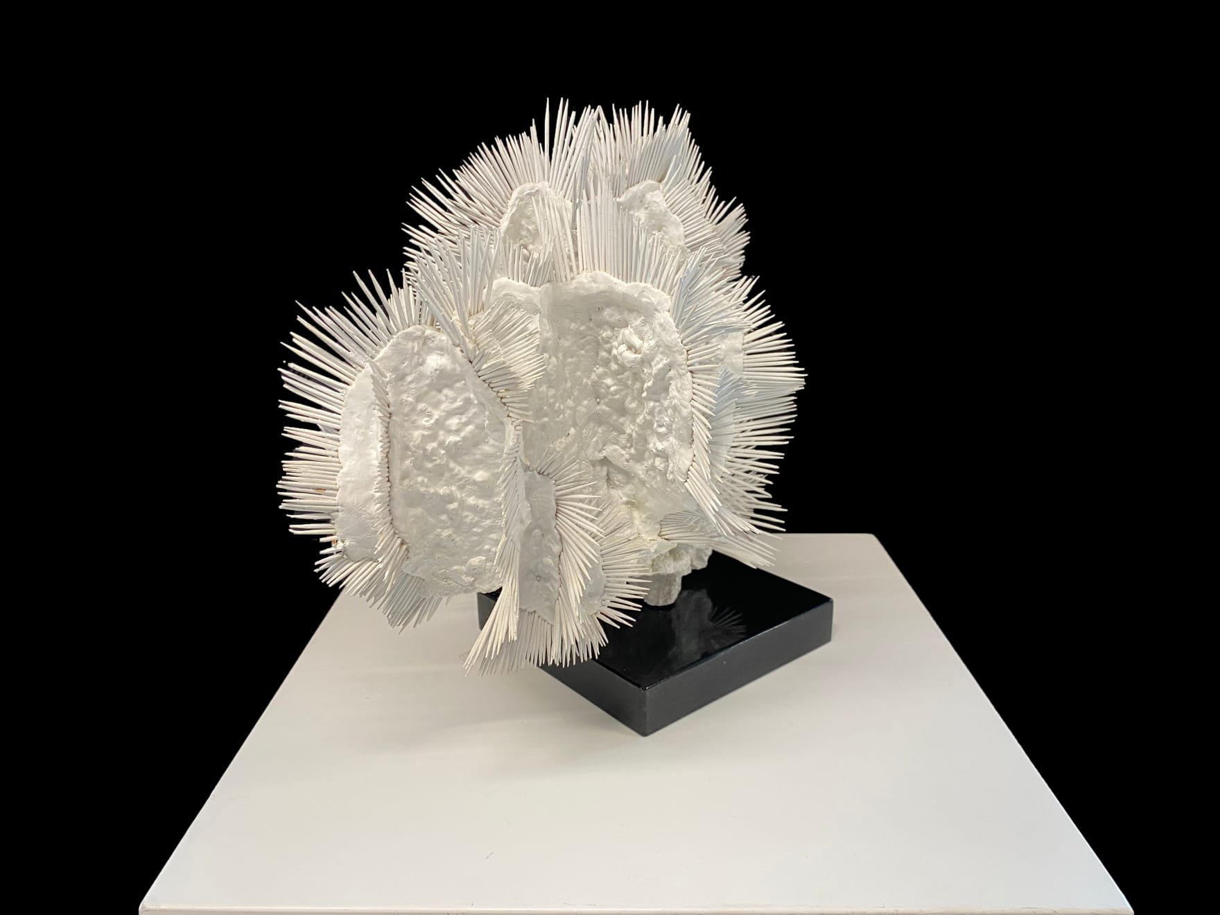 Lauren Baker, 24 Million Years Ago (1), 2015