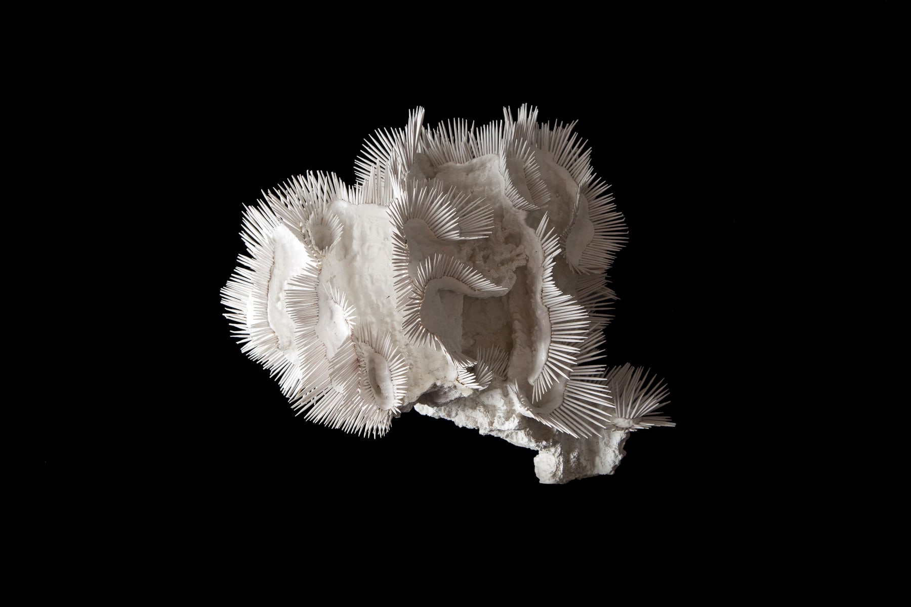 Lauren Baker, 24 Million Years Ago (2), 2015