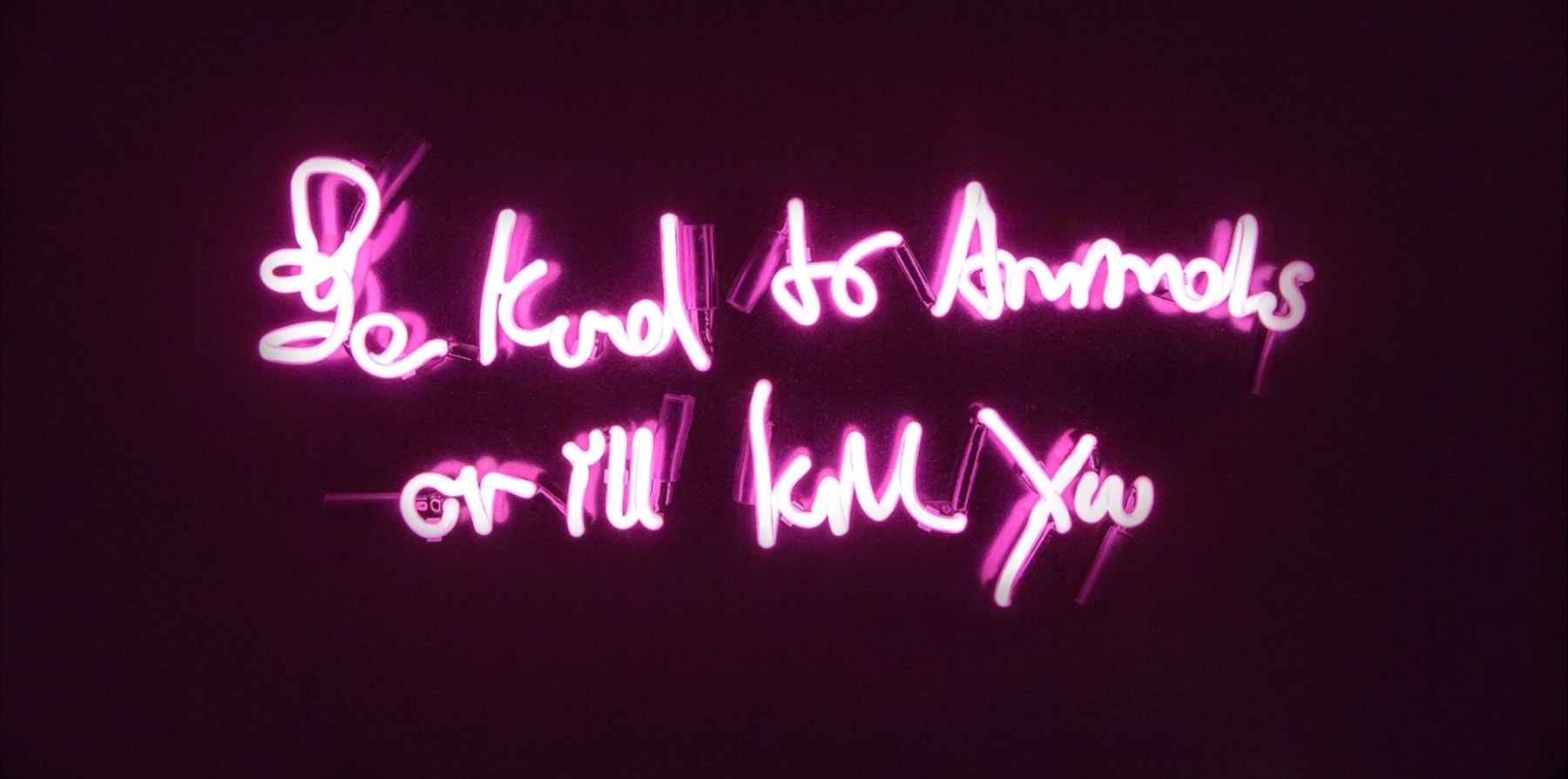 Lauren Baker, All Living Beings (Pink), 2016