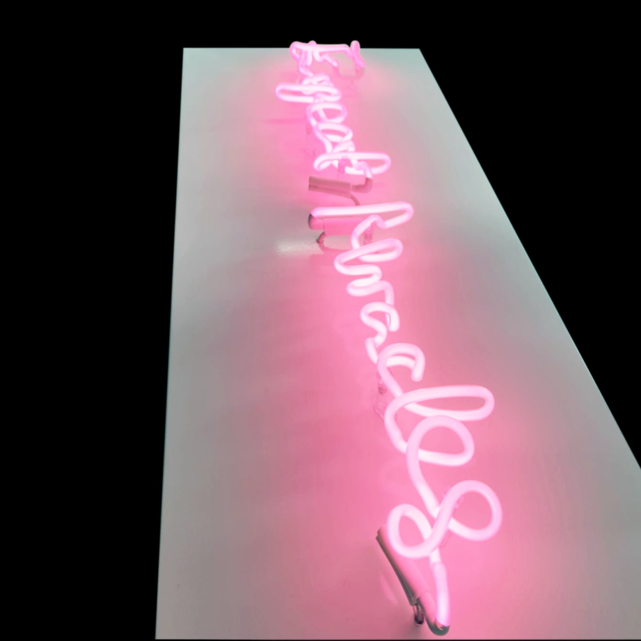 Lauren Baker, Expect Miracles, 2021