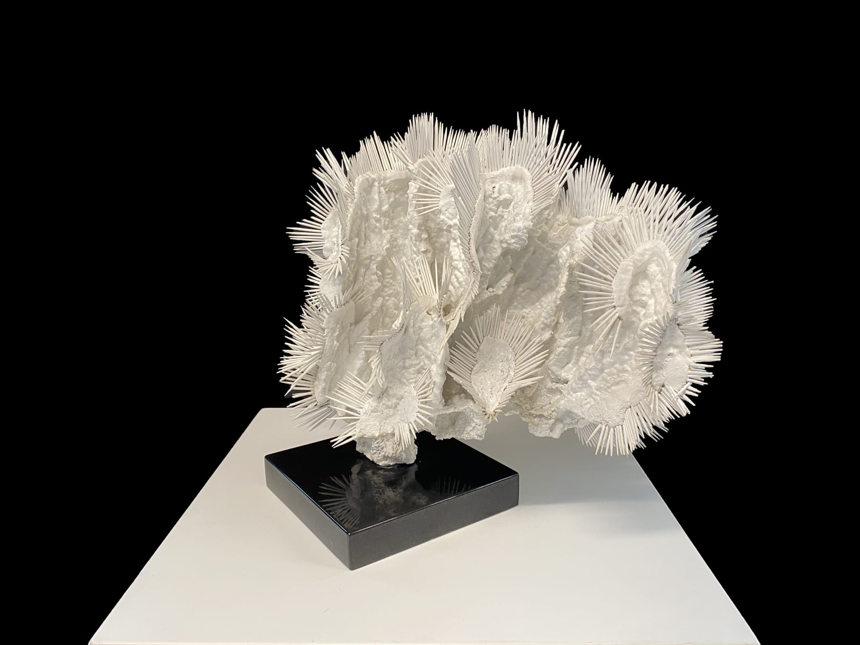 Lauren Baker, 24 Million Year's Ago (1), 2015