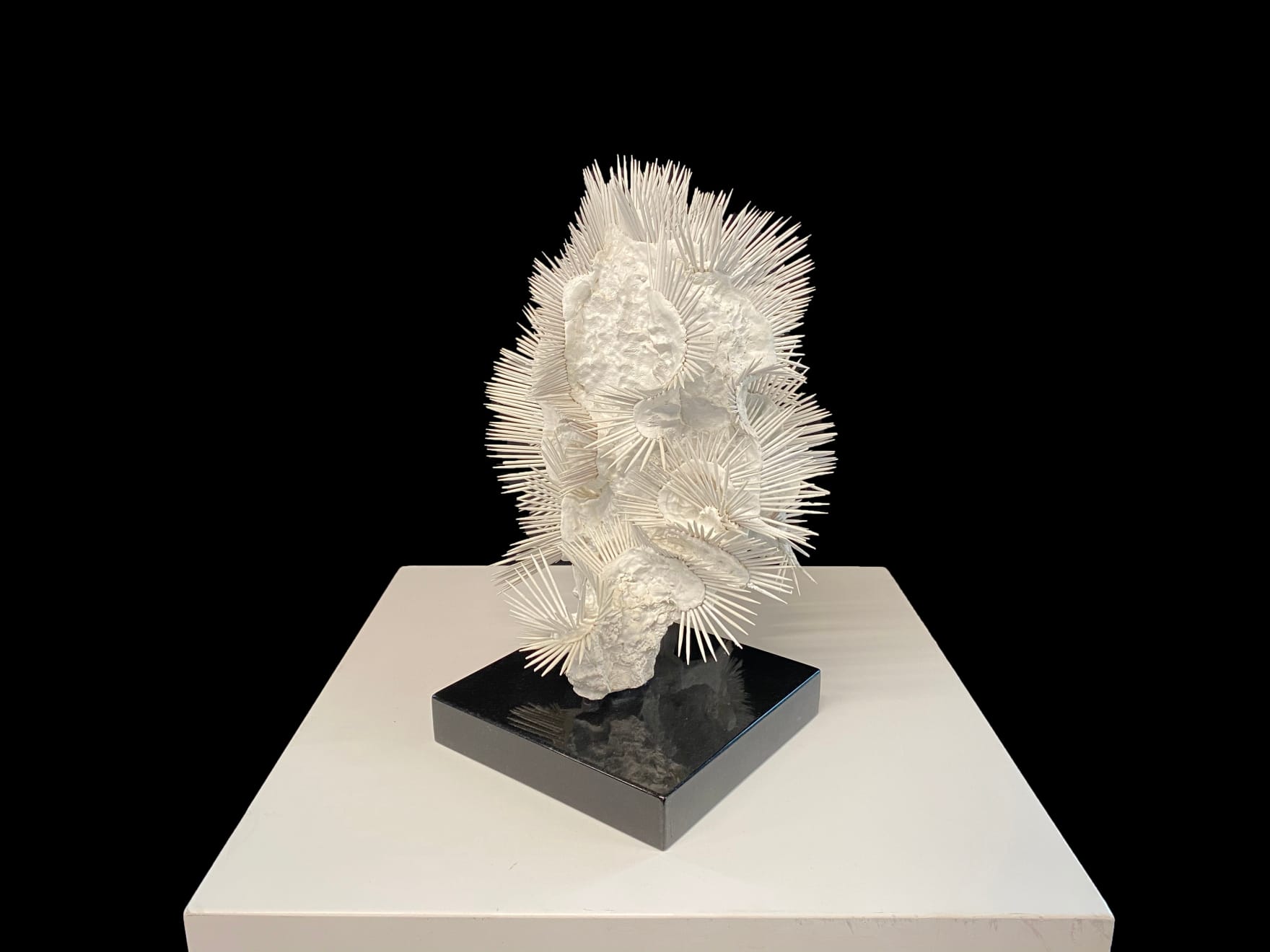 Lauren Baker, 24 Million Years Ago (1), 2015