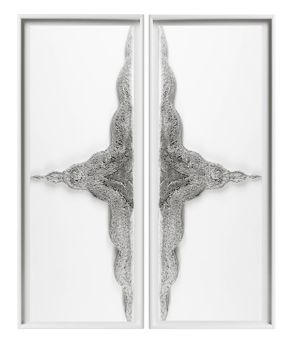 Lauren Baker, Equilibrium, 2015