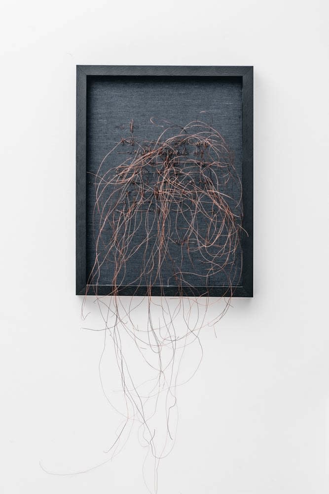 Lauren Baker, Letter To The Sun, 2022