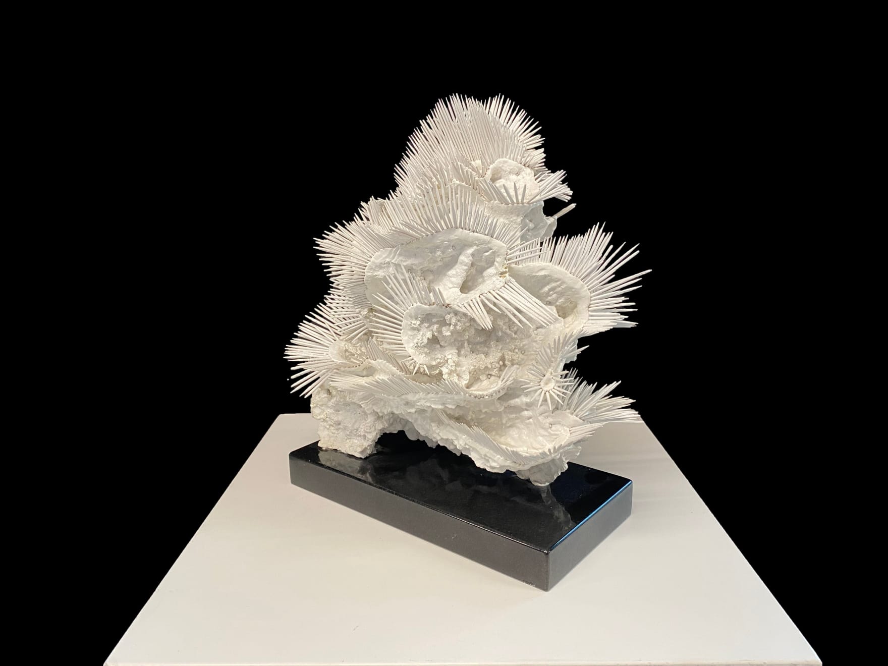 Lauren Baker, 24 Million Years Ago (2), 2015