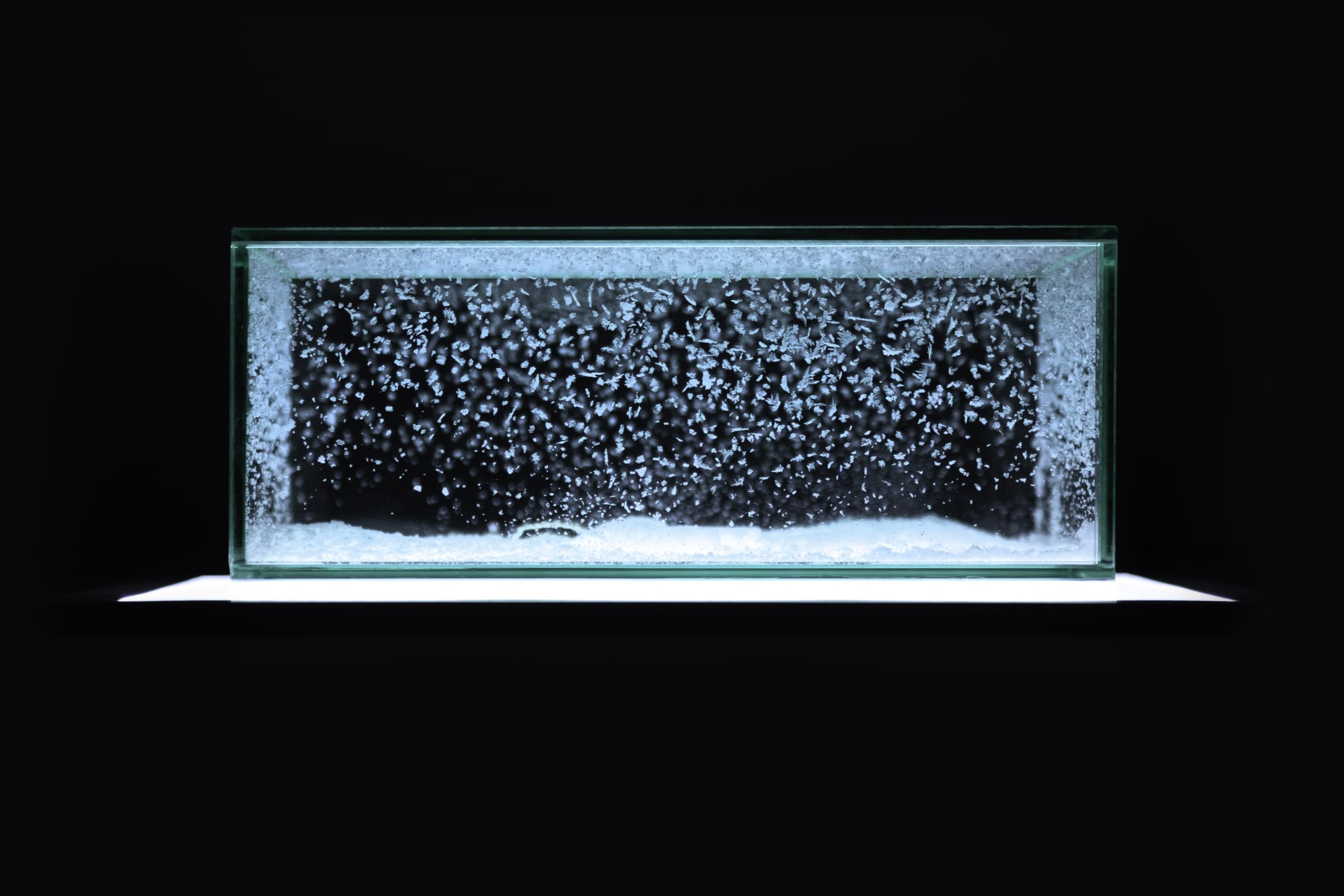 Aiko Miyanaga, -keys-, 2025