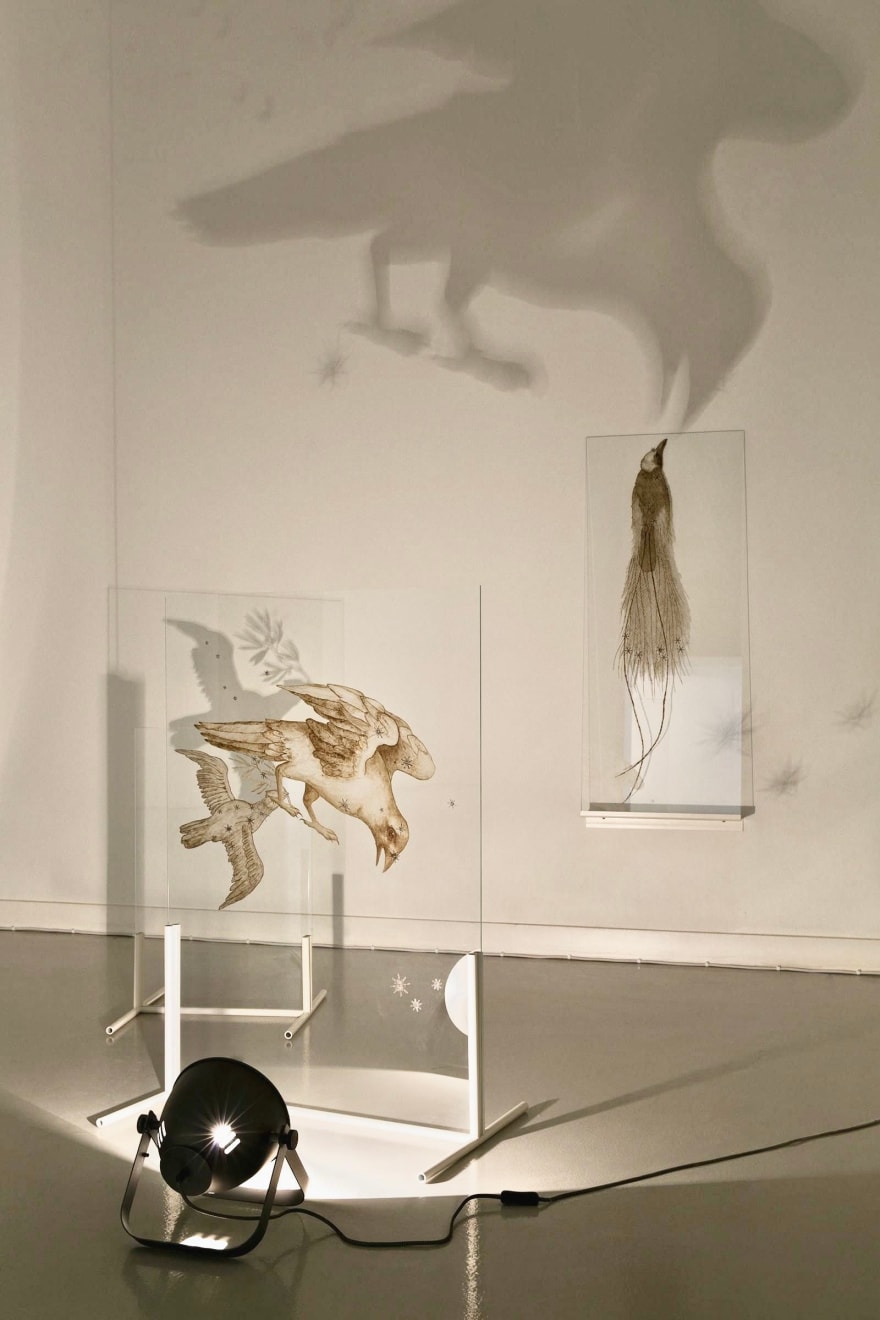 Elsa Salonen, We Are All Made of Stardust (Apus ), 2017