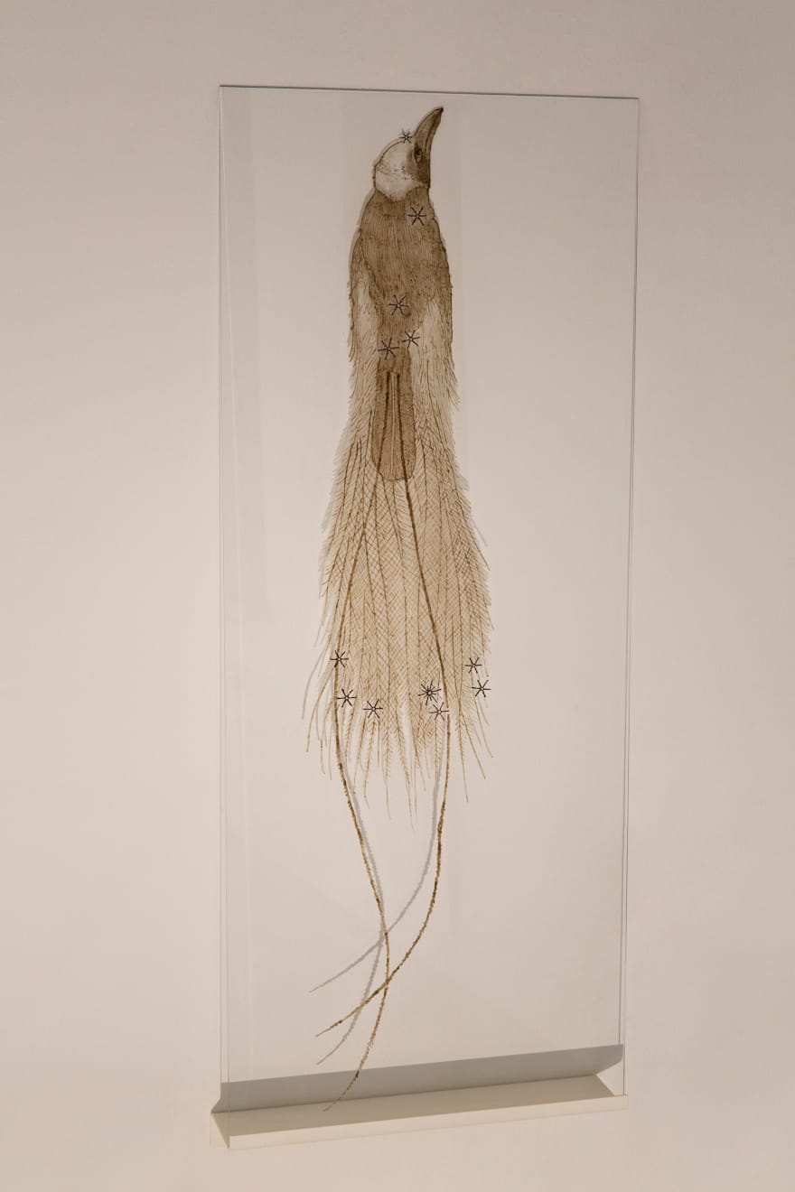 Elsa Salonen, We Are All Made of Stardust (Apus ), 2017