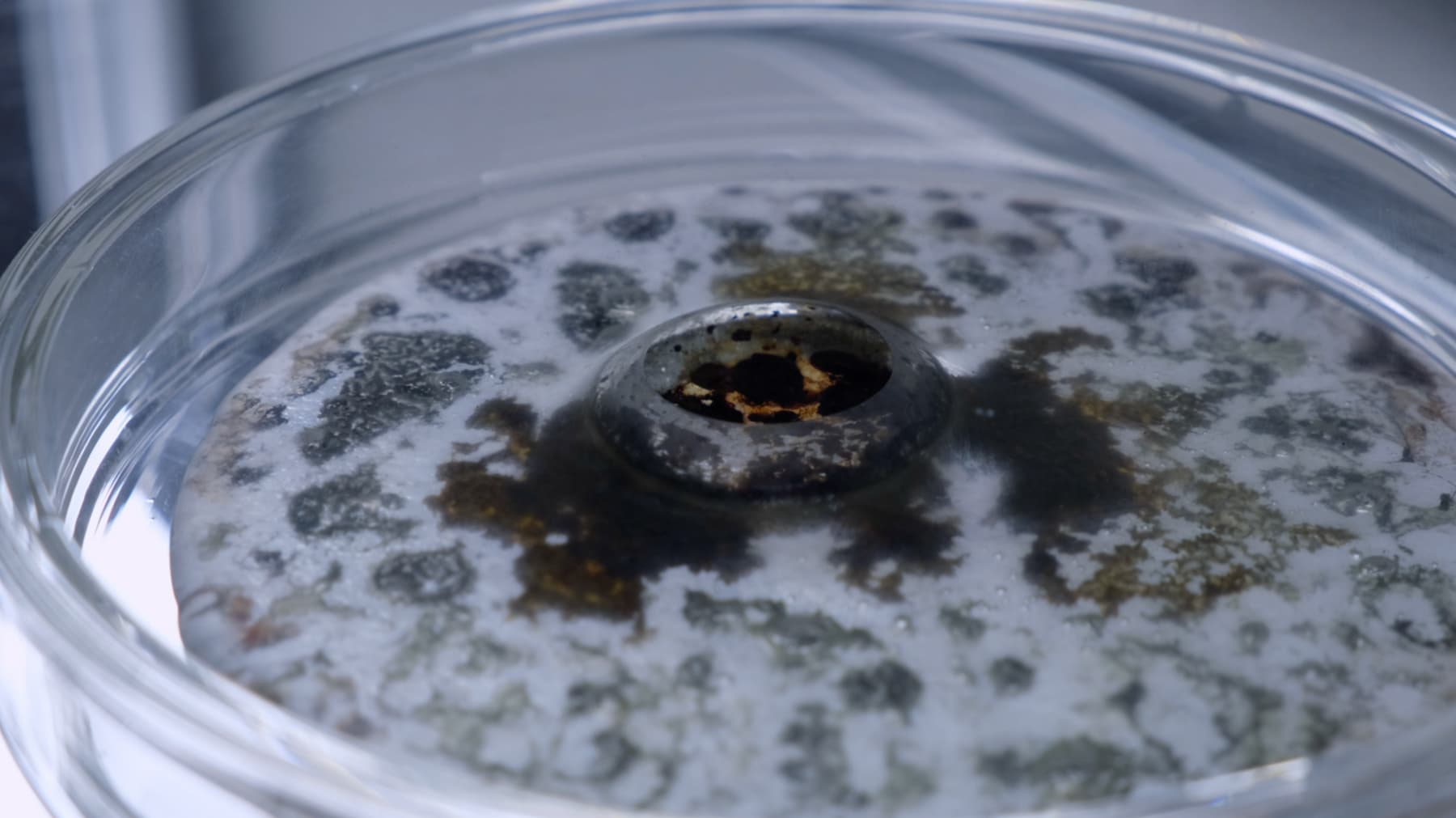 LIANG Zongyao, The Theorized Pain, 2024