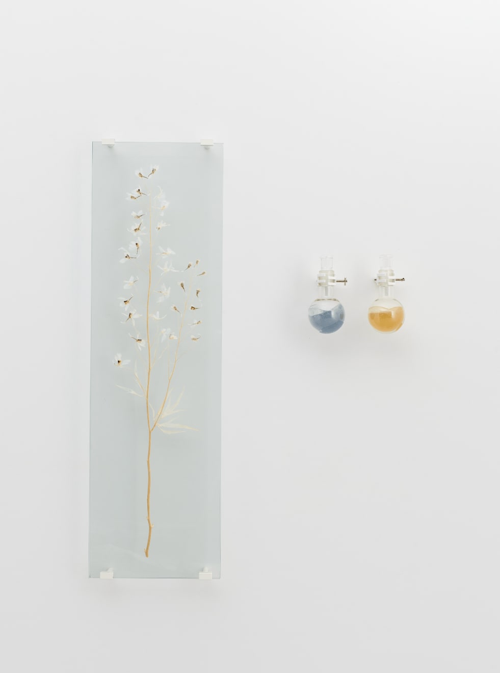 Elsa Salonen, Delphinium Spell (Deep Cyan, Winged Yellow), 2024