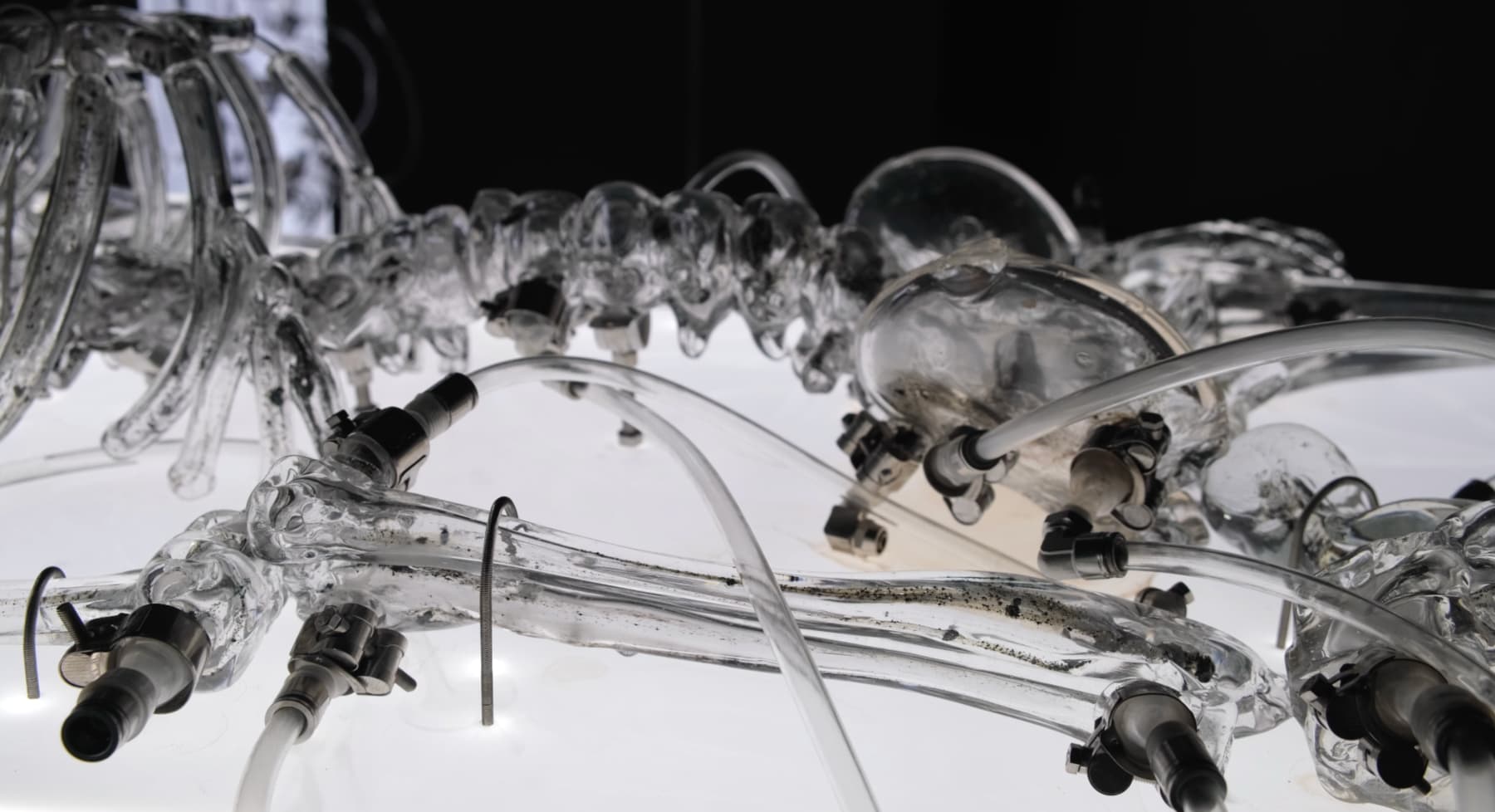 LIANG Zongyao, The Theorized Pain, 2024